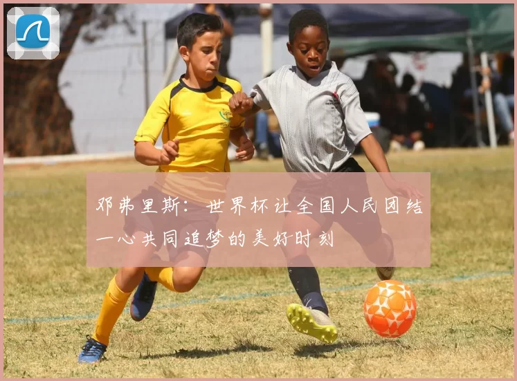 邓弗里斯：世界杯让全国人民团结一心共同追梦的美好时刻